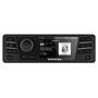 ROCKFORD FOSGATE PMX-HD9813