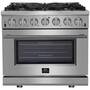 FORNO FFSGS6239-36