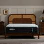 TEMPUR-PEDIC Pro-Adapt-2.0-Medium