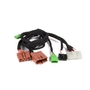 DIRECTED ELECTRONICS THHON6