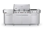 WEBER 291001