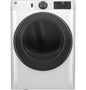 GE APPLIANCES GFD65GSSVWW