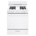 HOTPOINT RGBS300DMWW